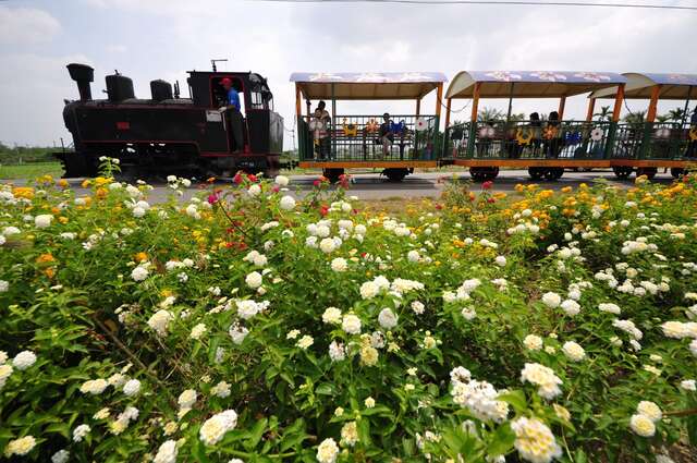 照片-搭乘鐵道之旅還可以欣賞週邊花卉