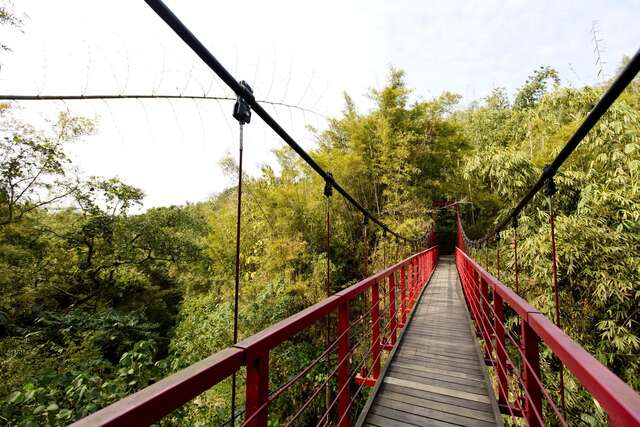 照片-虎形山公園的第二吊橋景色