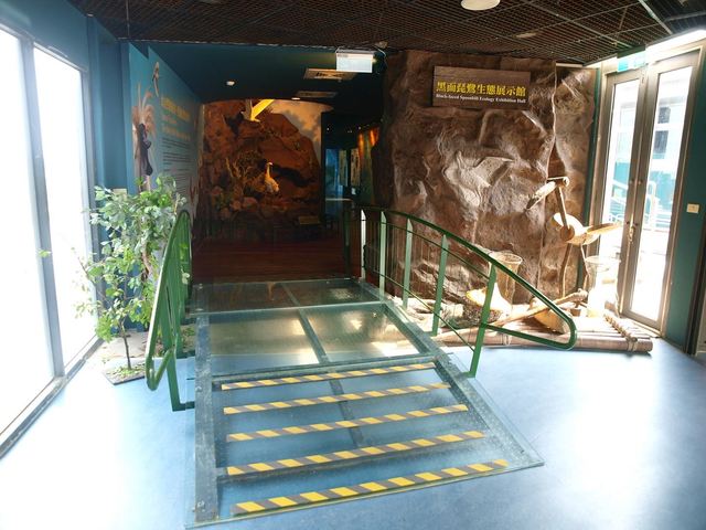 照片-黑面琵鷺生態展示館入口